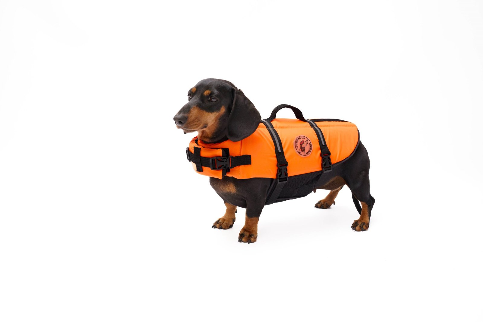 001_Gilet orange_Lucienne