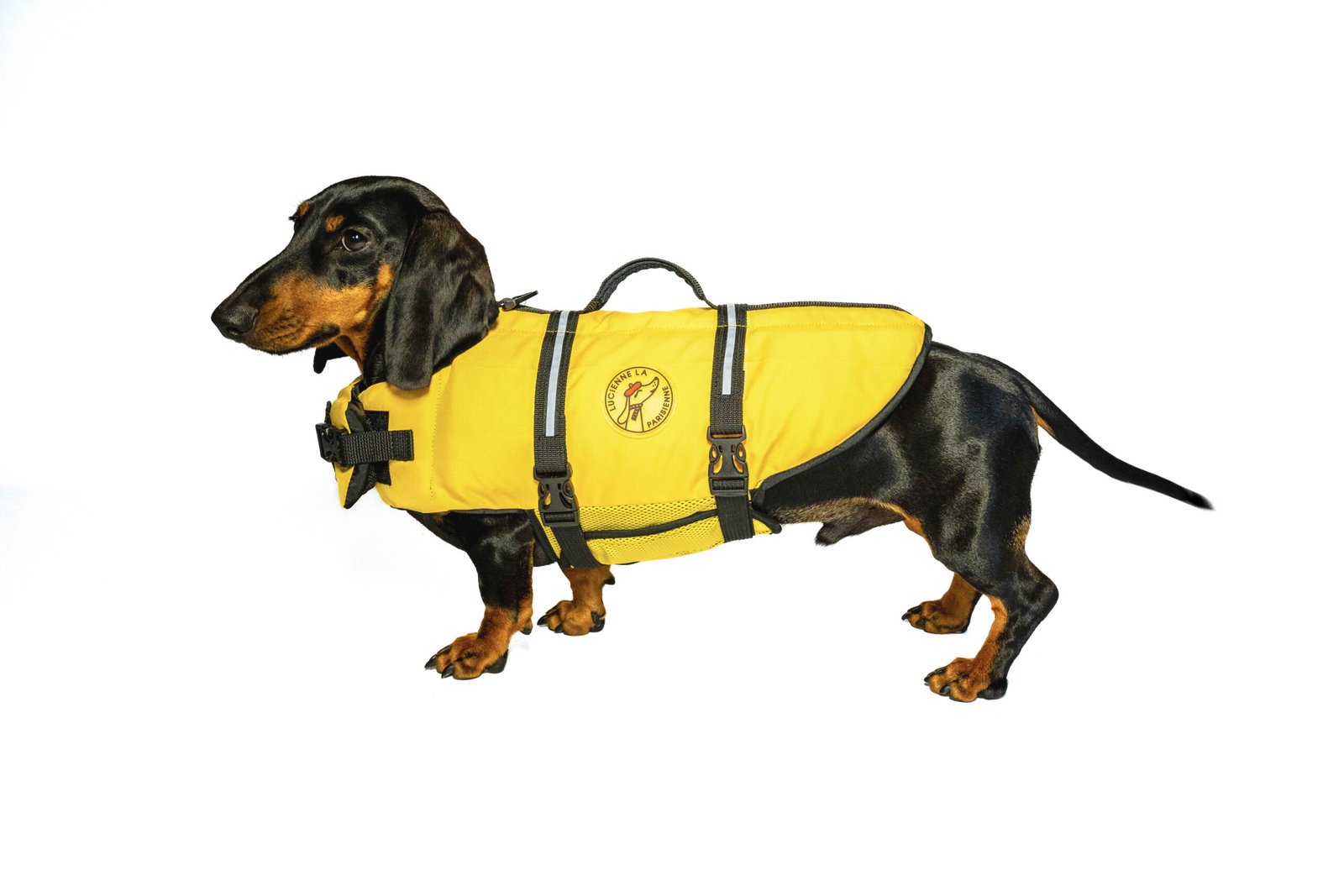 Design sans titre - 1