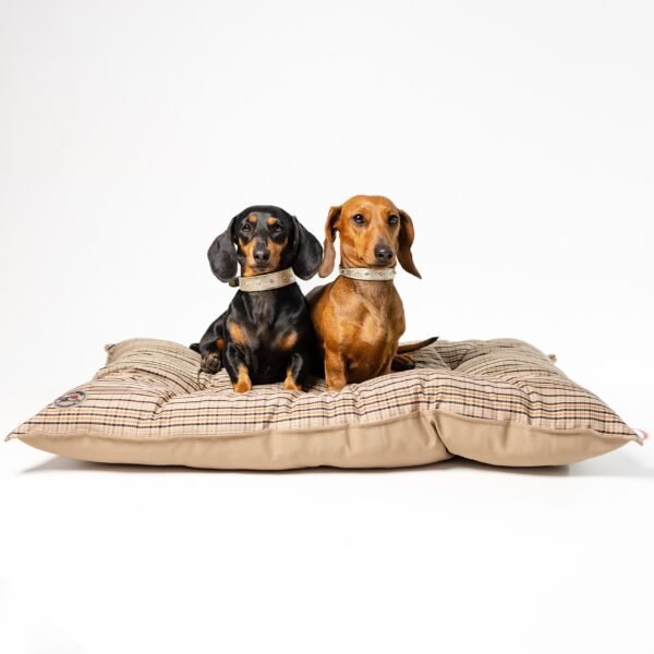 Coussin Royal