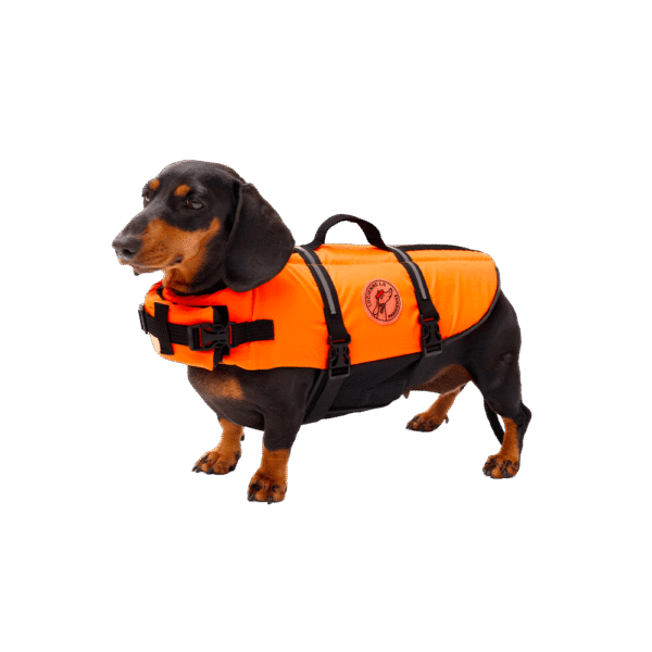 Gilet de natation Lucienne<span> - </span>S, Orange
