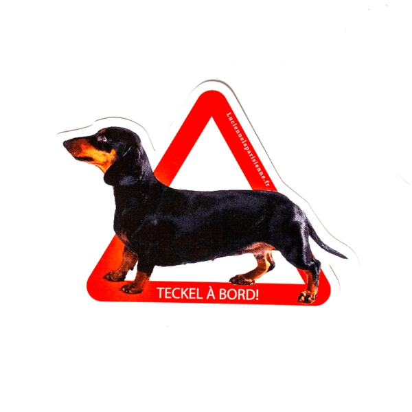 Lot de 2 stickers Teckel à bord<span> - </span>Poil ras