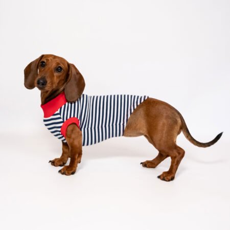 Marinaretto Lucienne la Parisienne<span> - </span>L, Bleu