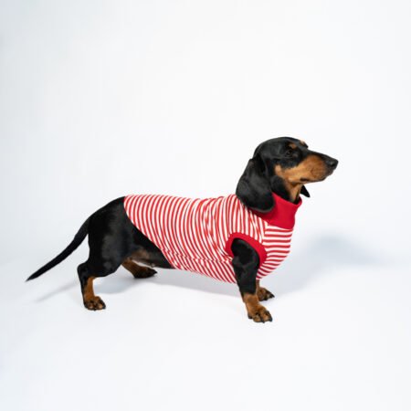 Marinaretto Lucienne la Parisienne<span> - </span>XS, Rouge/blanc