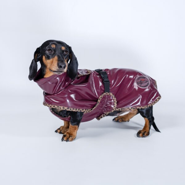 Imperméable Saint Malo