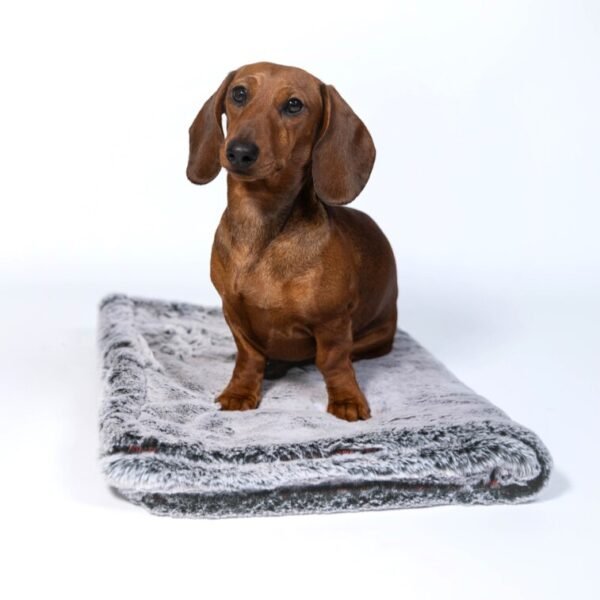Blanket "Amour de Luccienne"