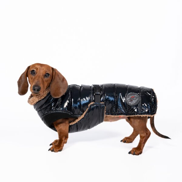 Doudoune Puppuccino<span> - </span>XS, Noir