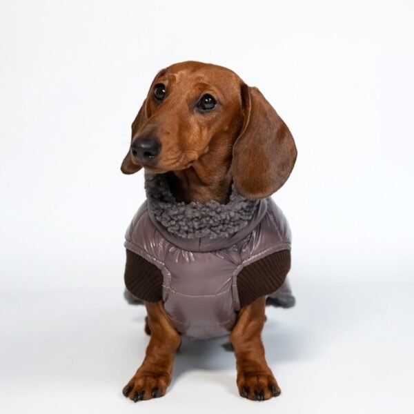 Puppuccino puffer jacket