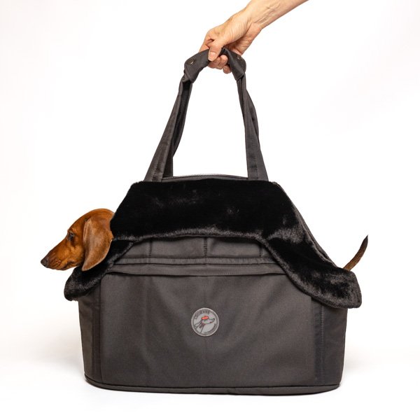 Borsa da trasporto Bassotto nera