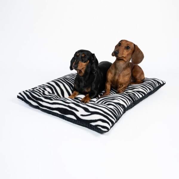Zebra Cushion