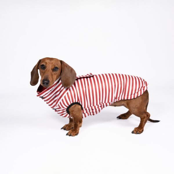 Veste imperm&eacute;able La parisienne<span> - </span>S, Rouge