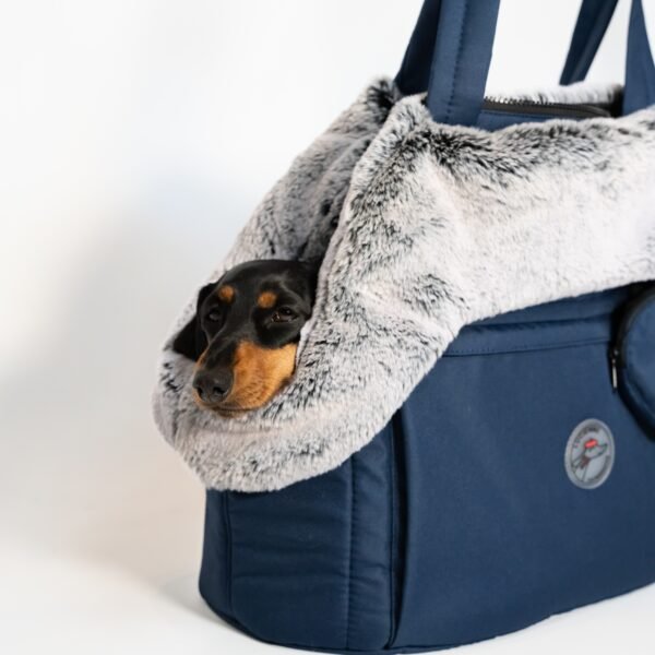 Blue Dachshund carrying bag