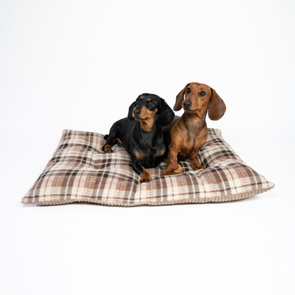 Cuscino scozzese