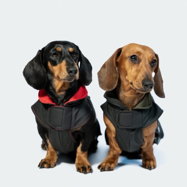 Manteau imperméable « Le Marais"