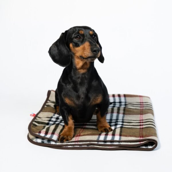 Plaid tartan