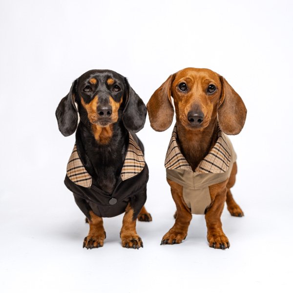 Trench-coat Montaigne