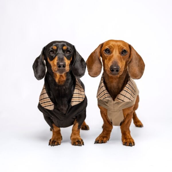 Trench-coat Montaigne