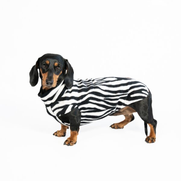 Pull en polaire Zèbre