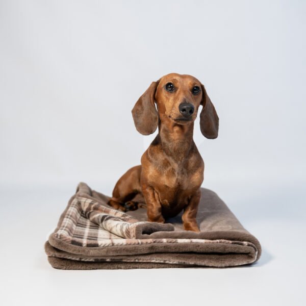 Couverture Ecossaise