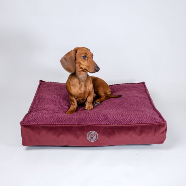 Coussin déhoussable