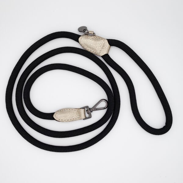 Nylon and leather dog leash