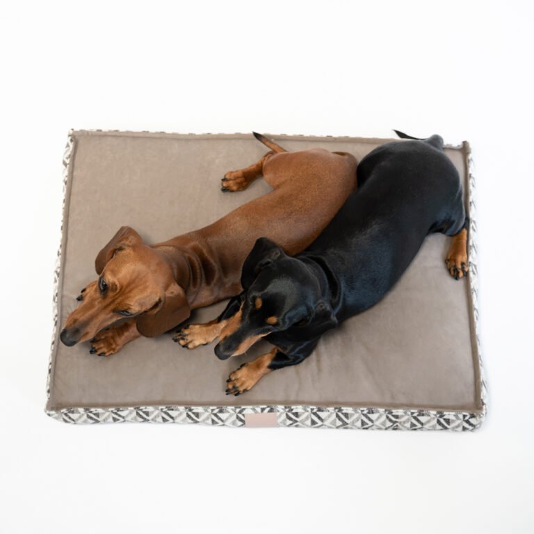 Panier Pour Chien - Coussin Pour Chien - Coussin Pour Chien - Coussin Pour Chien - Canapé Pour