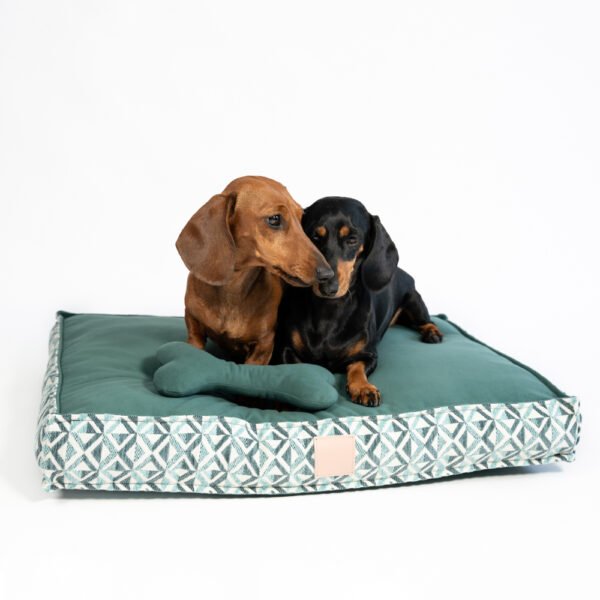 Coussin déhoussable