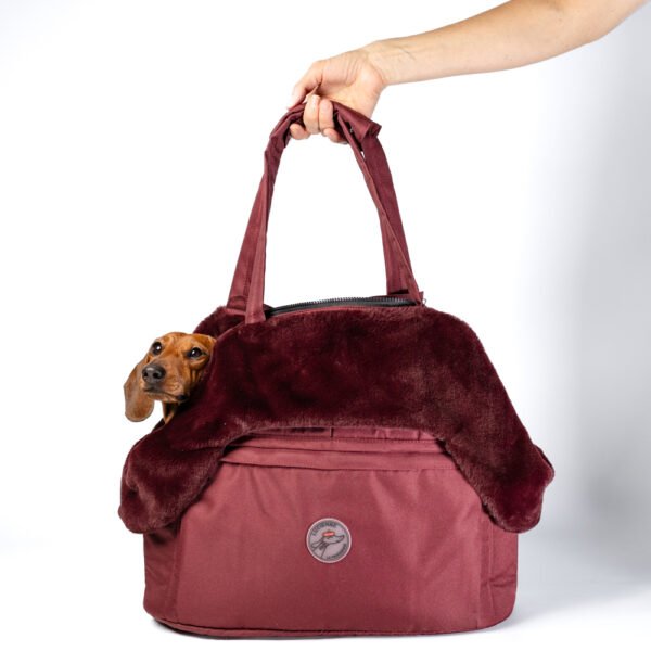 Sac de transport Teckel Bordeaux