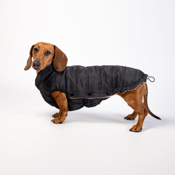Manteau Raspail