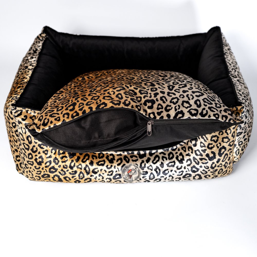 2-26
