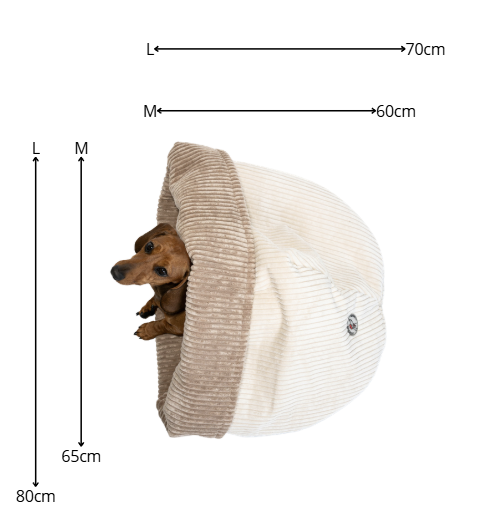 Cocoon