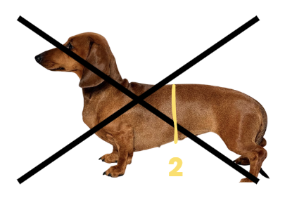 NO2