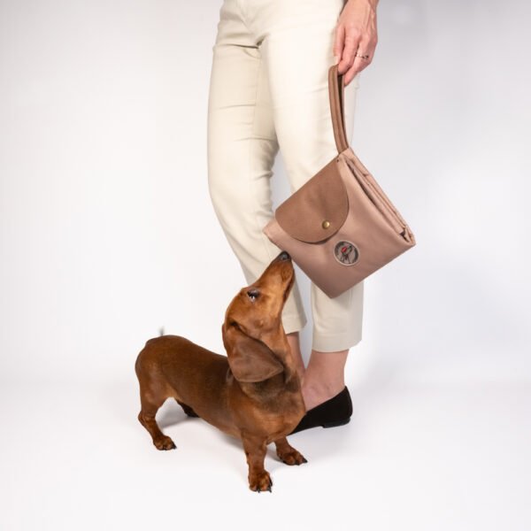 Sac-Tapis