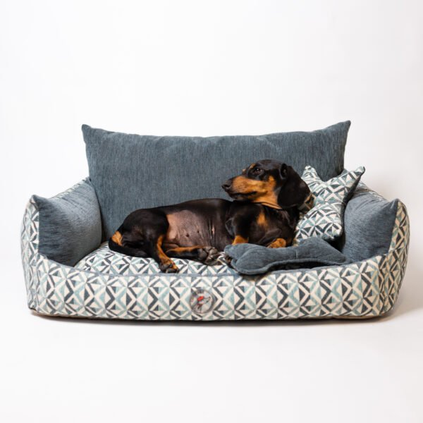 Divan lounge pour teckel