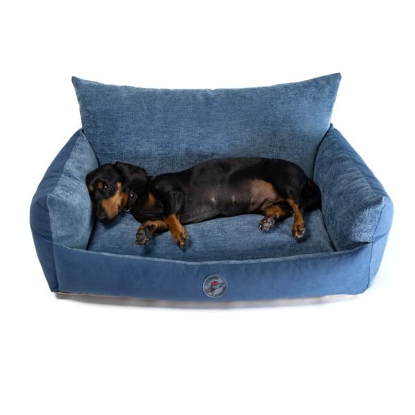 Divan lounge pour teckel