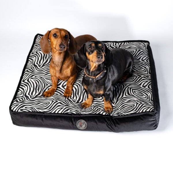 Coussin déhoussable Zèbre
