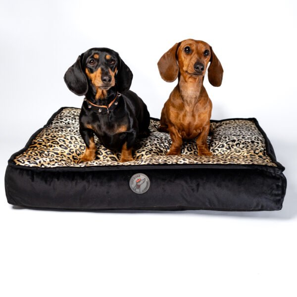 Coussin déhoussable Léopard & Zèbre
