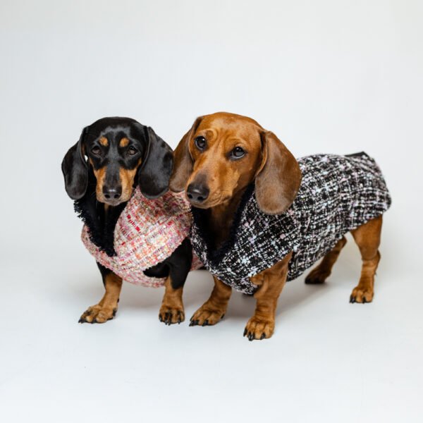 Manteau Tweed