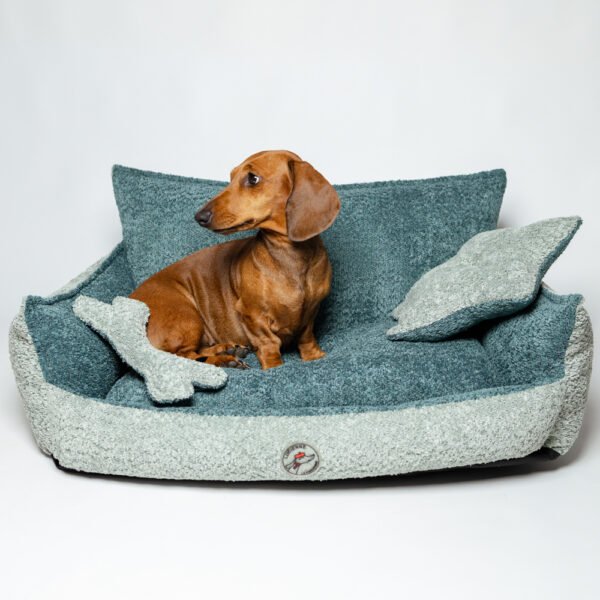 Divan lounge pour teckels en bouclette